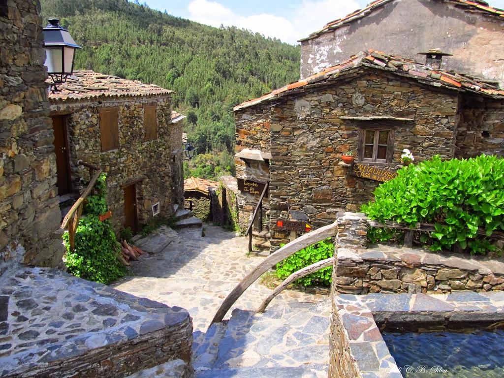 Vivenda Pirilampo Βίλα Vila Nova de Poiares Εξωτερικό φωτογραφία