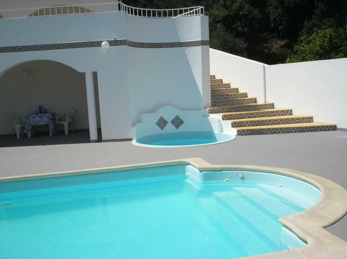 Vivenda Pirilampo Βίλα Vila Nova de Poiares Εξωτερικό φωτογραφία